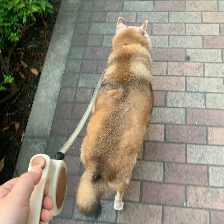 C2db6047 53da 4a1a a6b4 8041f1c292e2 1659966021857