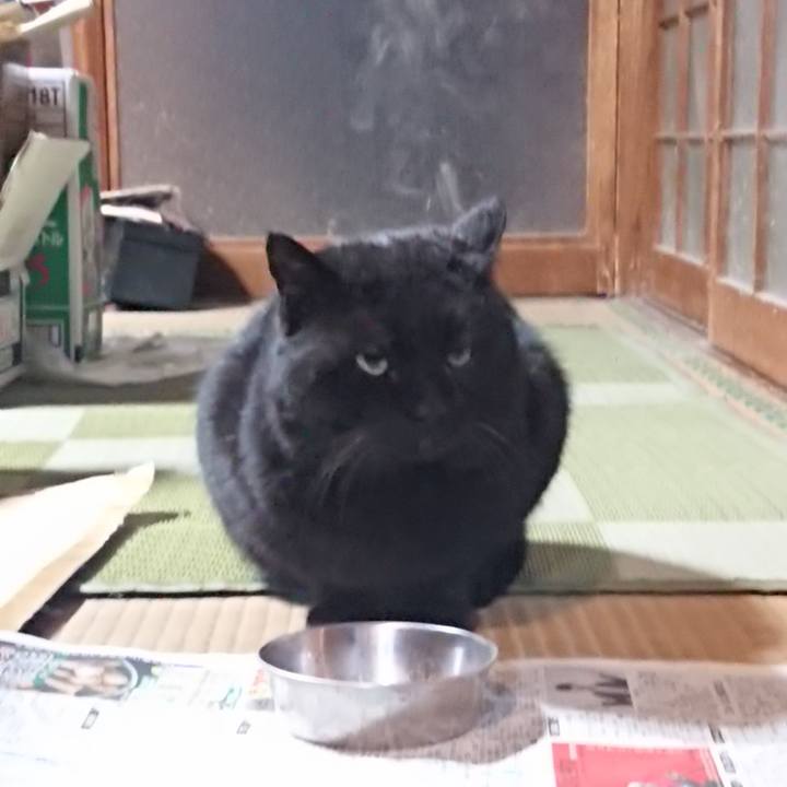 C2db9d30 84ea 42ba bc9f b97e3ca894c5 1614508028403