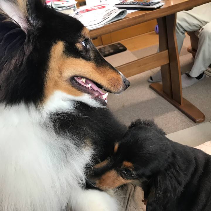 C2dba321 229e 48dc 8051 18c74bfc5b4b 1532556521021