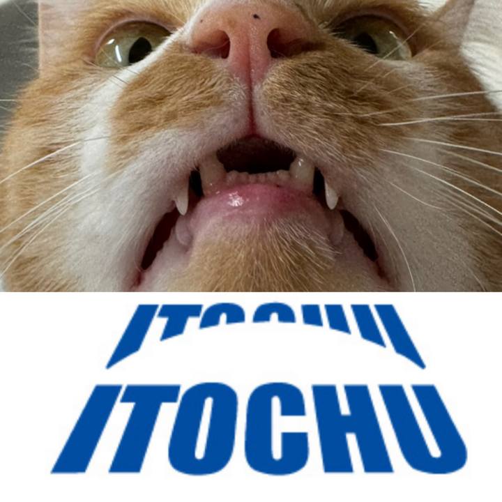 C2dbbf05 738f 402d 9a50 ece0ccc5e03e 1701492261561