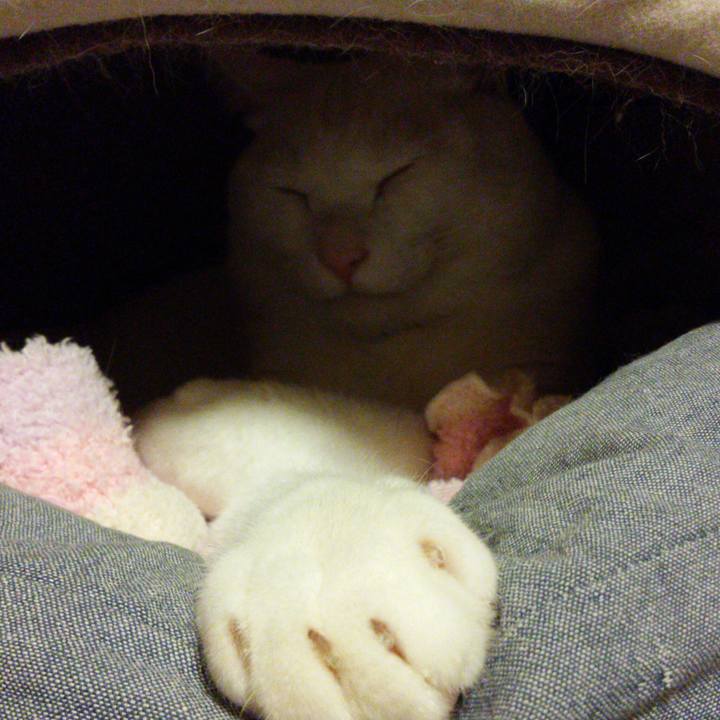 C2dbdfbd 423b 4034 8f08 f2d959eb7124 1517488913551