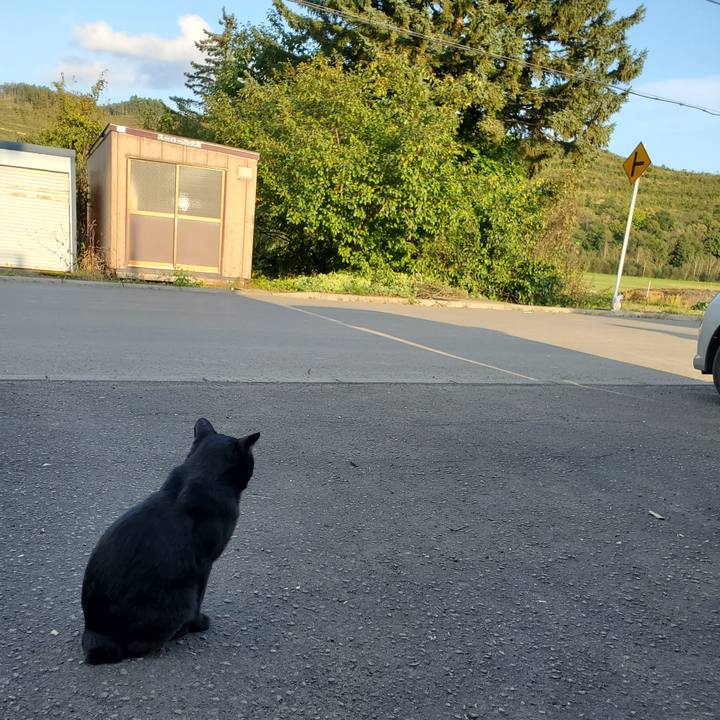 C2dc5a1e 881a 4941 ae33 30596886a895 1696417066283