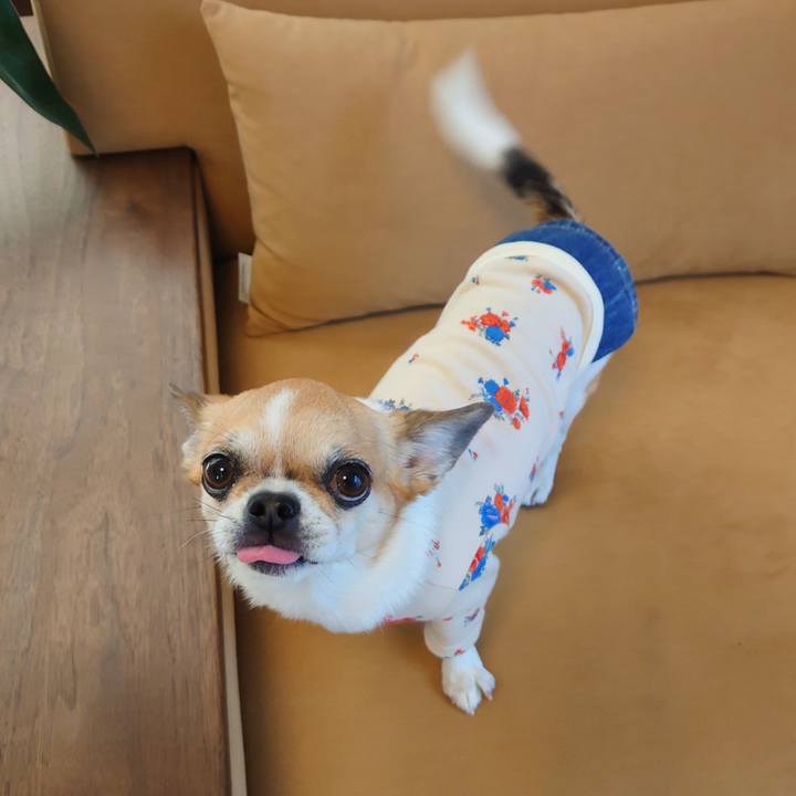 C2dc7981 84b0 4616 85d1 da6aa7778bf5 1701338651714