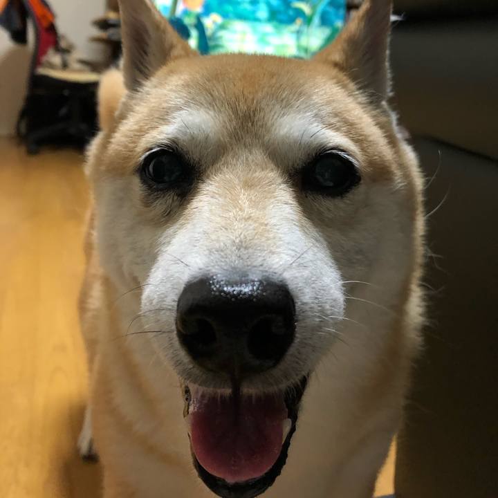 C2dc7a29 bb44 4d60 a5c8 5359c28edd4a 1597410274675