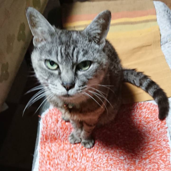 C2dc91e7 3aed 48ce b5ba 2a3d20497f11 1567458366862