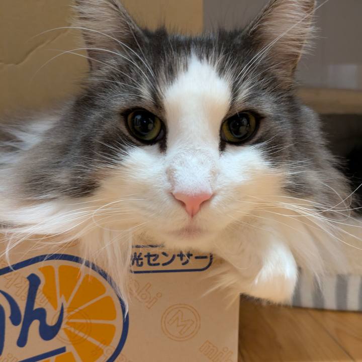 C2dcaa47 3e86 4294 9b47 d32e4cdd1ec1 1762516171917