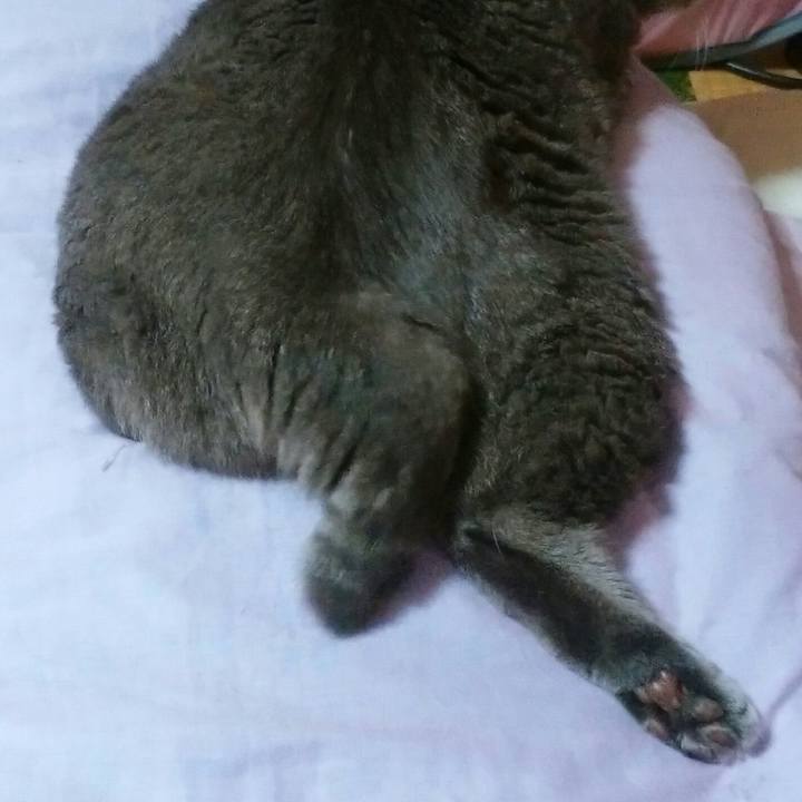 C2dcc59c ab69 4824 975f 926661b18ba9 1561376115087