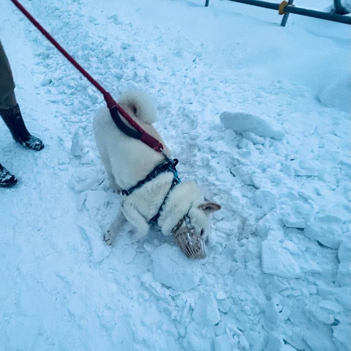 C2dccaa1 d768 427e a43a 79e8676301aa 1733696205197