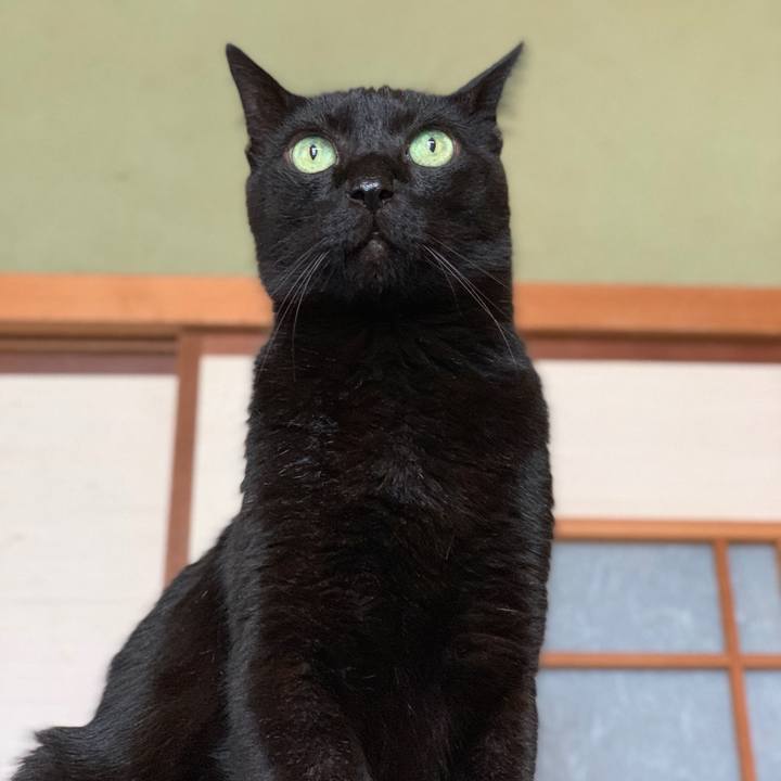 C2dce52f 7360 492c 9e42 96c2ae52234f 1598406628121