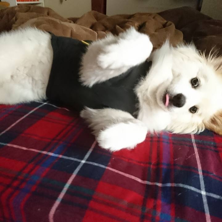 C2dcf148 89ba 4e90 af3e b4cbe4b0f7d8 1527539389869