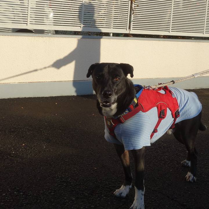 C2dcfb12 69eb 41db 9157 7604da3f5767 1674177699377