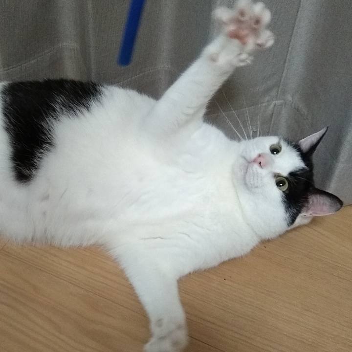 C2dd00b4 add4 4bda a20b f4d843596df9 1558005776382