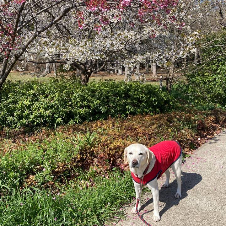 C2dd1b23 f437 458e b900 b24f021baffe 1743728700295