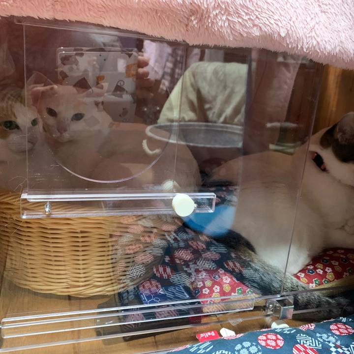 C2dd237a e8b1 4a23 bd1e 5872dff262b8 1579181245376