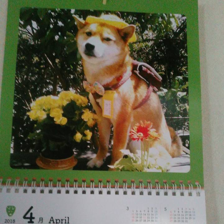 C2dd3bfa c900 4bb6 ae6c 7bb5b1ec6688 1522627999482