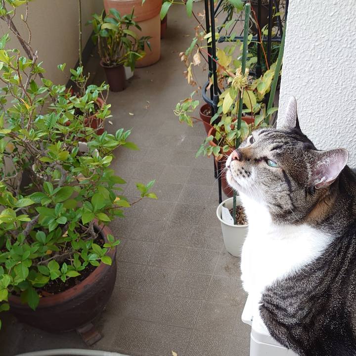 C2dd451e 3203 4d02 8f56 4f1675306f80 1596061165493