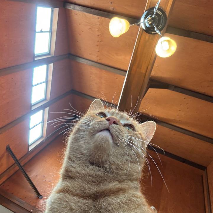 C2dd58e9 02be 4534 99ab 5412cbc2234a 1767239045090