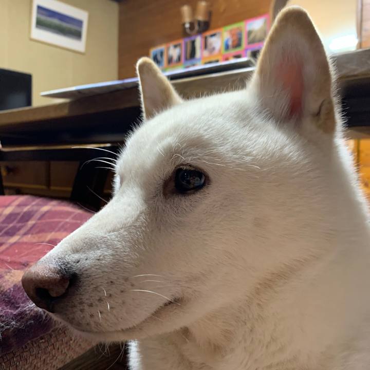 C2ddc572 47ab 4024 a469 2fb5912c07f0 1576307841562