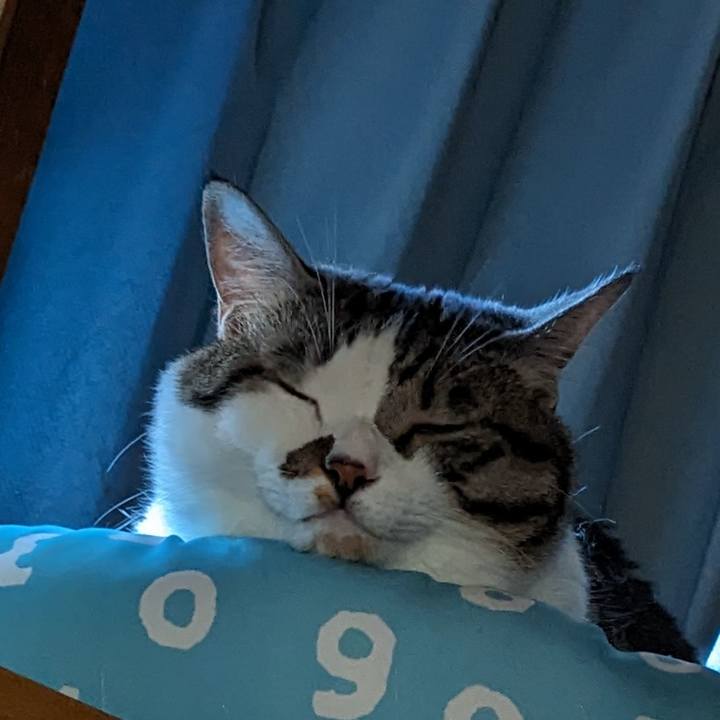 C2ddfb65 9086 4aed b63c 2eb477d78de8 1696197660375