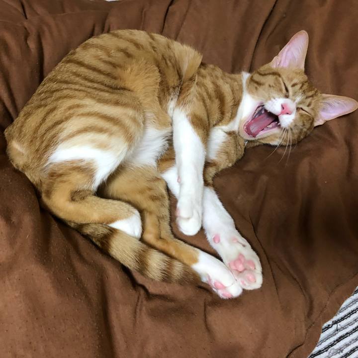 C2de5746 ff67 4277 a32e bb43a46d4529 1560167314853