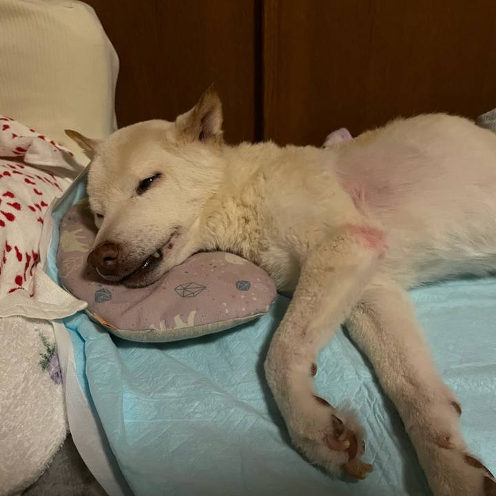 C2deaebc 2938 4da4 953c e0edfe2d84cf 1675613012732