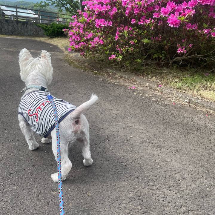 C2dec344 cd1b 419d 9b16 1499aaefb012 1747987712813