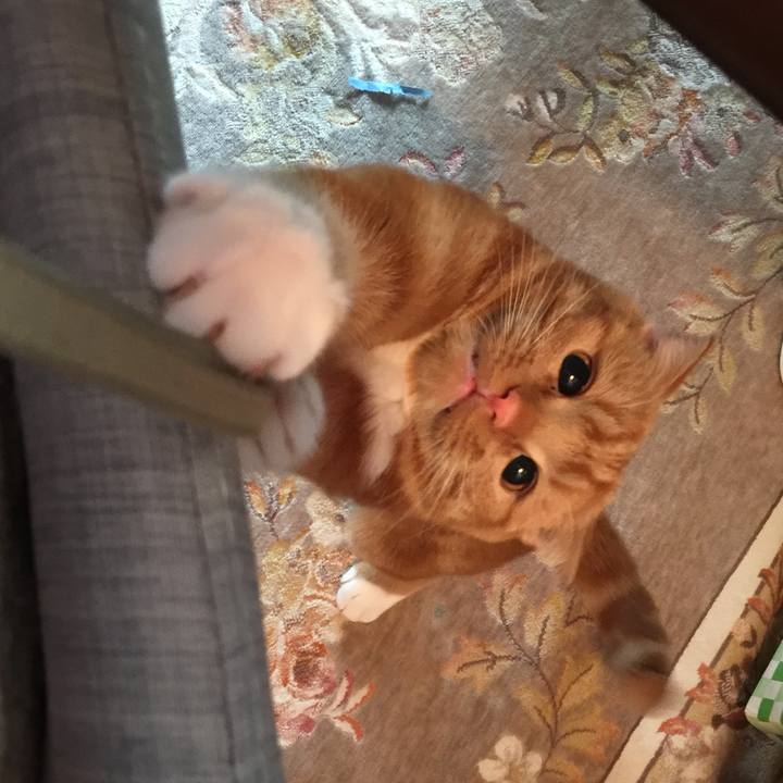 C2ded8a9 86f4 43a7 a562 0dd019a2e87a 1522022829138