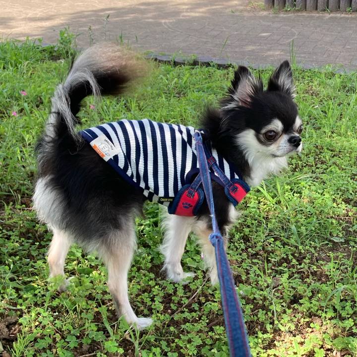 C2df06ae 04e1 445f 9fe3 751aa52e3d08 1716719877963