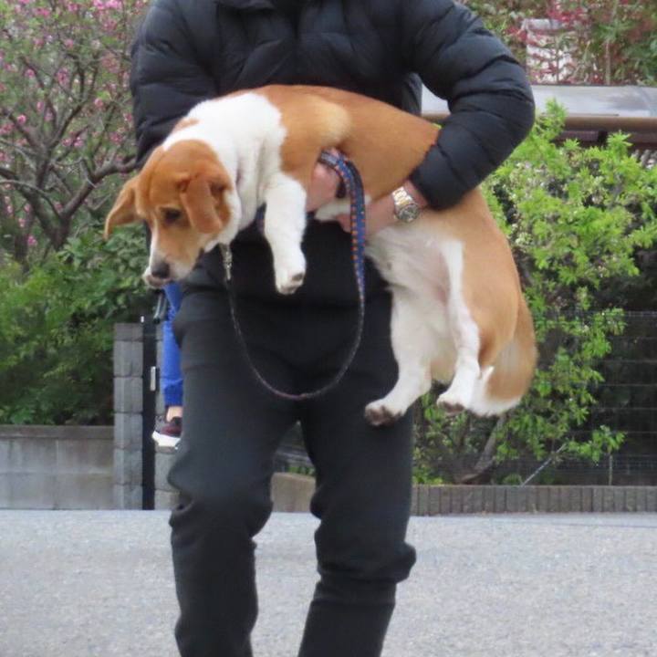 C2df453d 2f05 414c 9dc1 ddebdda0c277 1617676463894