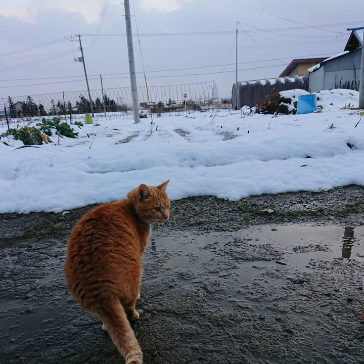 C2df653a 124a 4860 8608 2e11d4022235 1577948326509