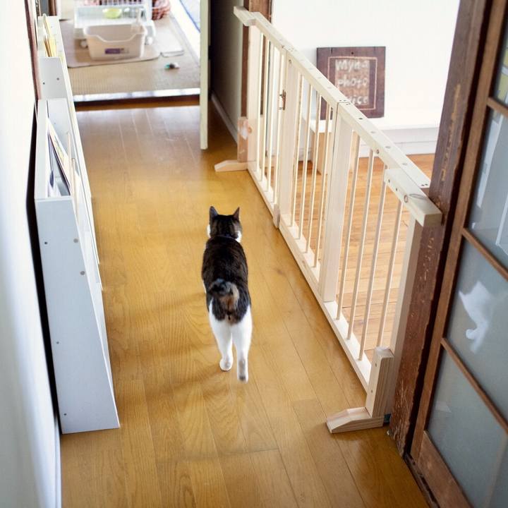 C2df713f 9e6b 4523 a013 d70b89a275ea 1548588717702