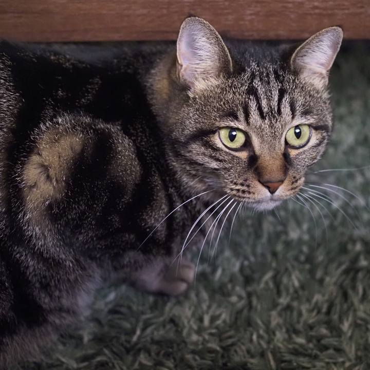 C2df7e01 9bce 4c71 b7ca 448be0b62aef 1635770094211