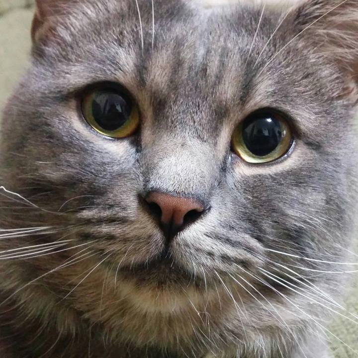 C2dfa99c 1b01 43e9 a677 6c0a5bc24fa1 1556317058006