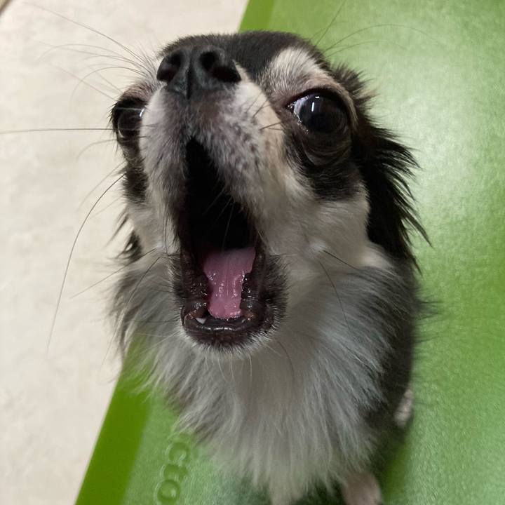 C2dfd2ad 0322 4b55 9f7e 34ddf024bcbb 1634439951212