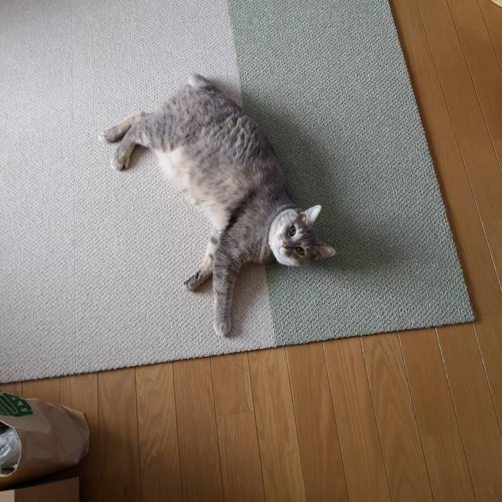 C2dfdd20 c9ed 4022 b514 c98d03ef6a46 1590988451807