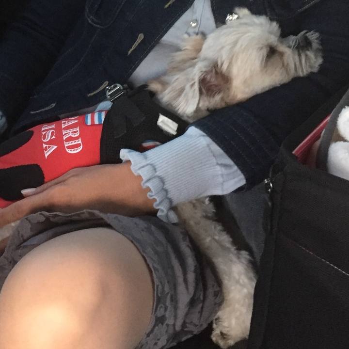 C2e00e8c d482 414f a3ea 68420b95a366 1509718756874