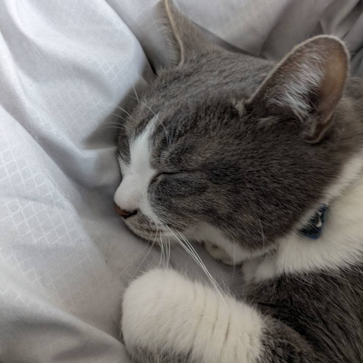 C2e01591 1f28 492e ae05 2727fa94345b 1773801003590