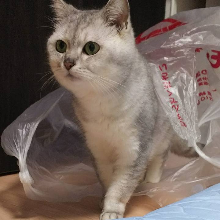 C2e03272 5bdb 4133 bd8b dd089436ae1a 1515074636940