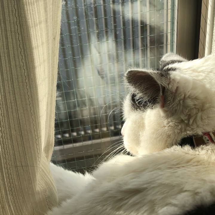 C2e036d7 d0b2 4b50 a58c bf73b1f6aecd 1545887026136