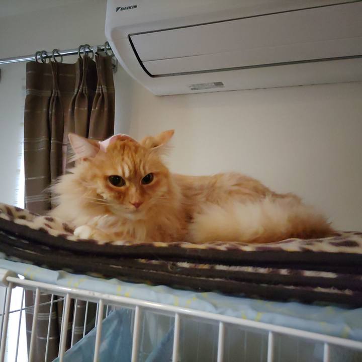 C2e049a2 e275 4f01 a237 3a5898e520ec 1682471845637