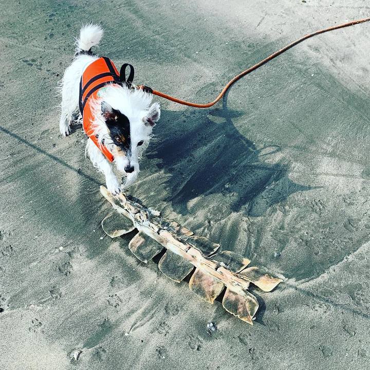 C2e08bef 5ecd 489c b25b 93acb98d0eae 1598238795964