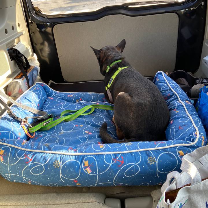 C2e09388 28e2 46be 8b24 75f65b465f1e 1605146555113