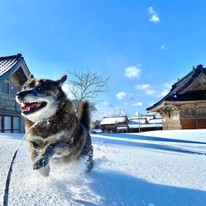 C2e0b70d 3862 4c8e 8453 f89f083db22d 1642747623520