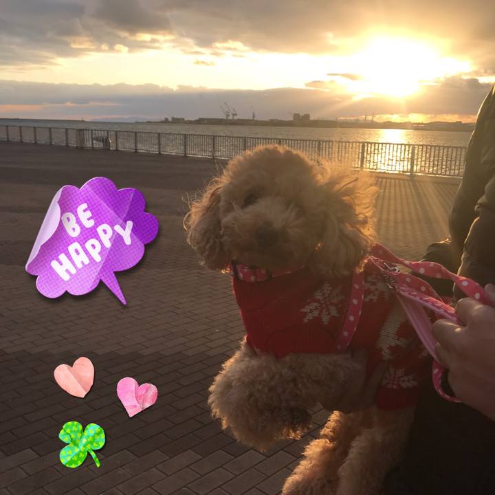 C2e0f128 ef75 4c7f 9956 8023f7653ff6 1546249603385