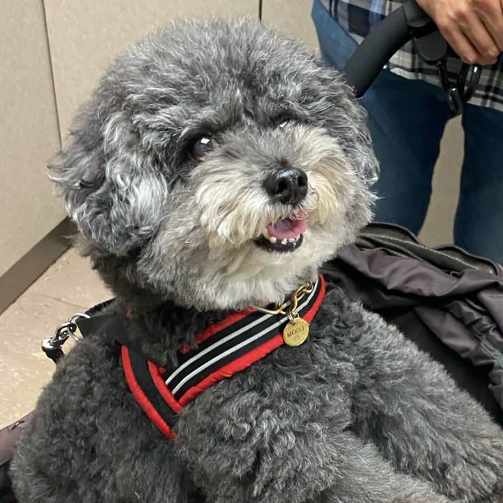 C2e0feb3 cff2 41c6 a764 d7f899bbd4c9 1633068106544