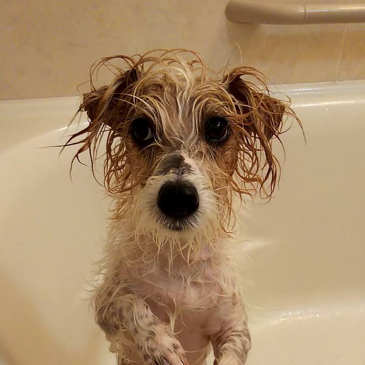 C2e107e0 d4f9 4abb 868d 5993c35ef6cd 1615079568178