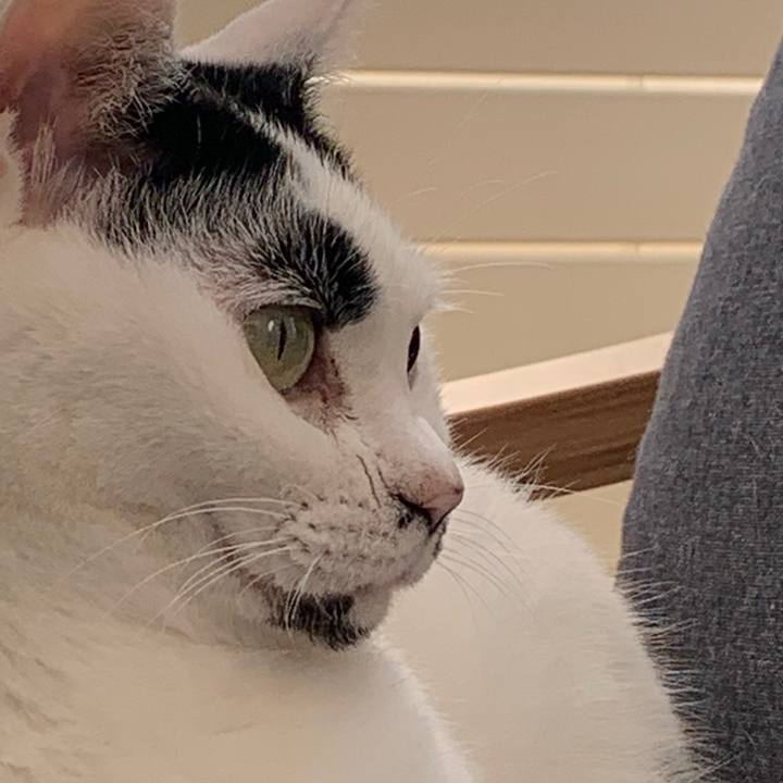 C2e10e1b 54ad 4e47 a853 dc5e482b50af 1740875747526