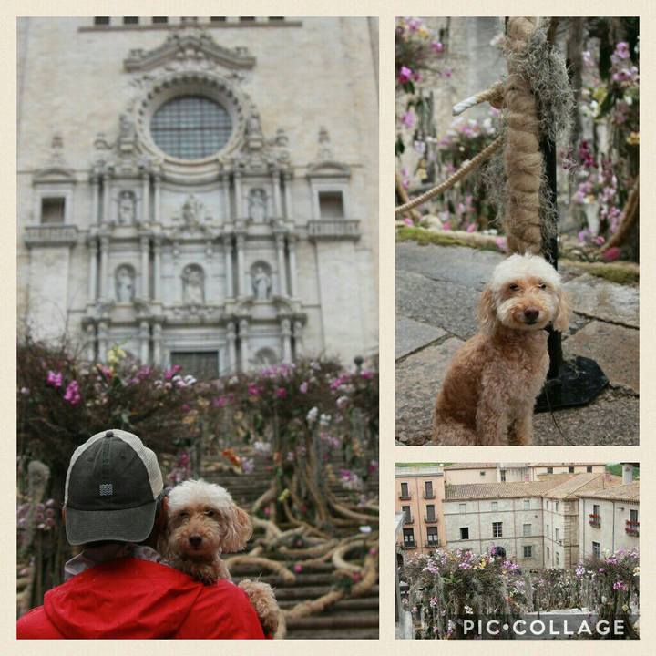 C2e1281a 8f9f 4a5a 8549 a224f82b5b6e 1557779184185