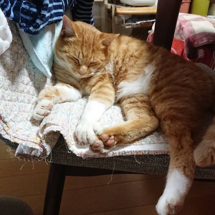 C2e12e67 03f7 4fa8 af67 a9f8334479ca 1606098169244