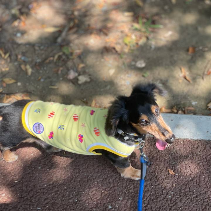 C2e17a73 1b18 4d41 a7e3 447a96bf4318 1631672939290